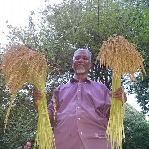 Hj Marzuki